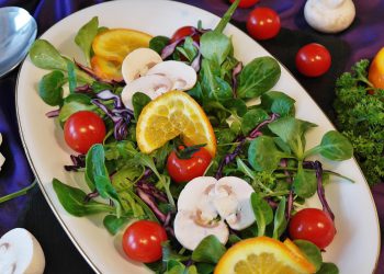 Essigsprüher Vergleich | Essigspray & Zerstäuber für Essig