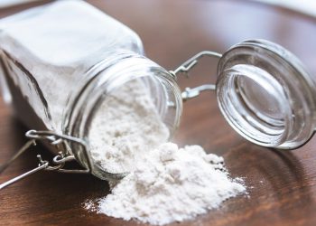 Staubläuse bekämpfen (Tipps) | Wie Tiere im Staub loswerden