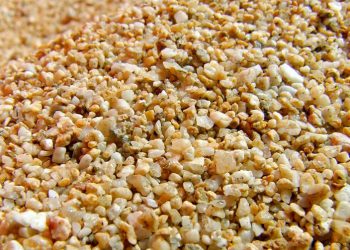 Saugen von Erde, Sand & Asche | Für Staubsauger ein Problem?