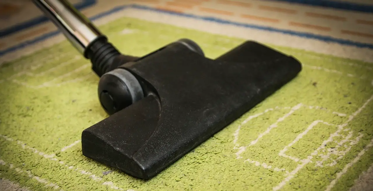 Teppich Staubsauger teppich saugen