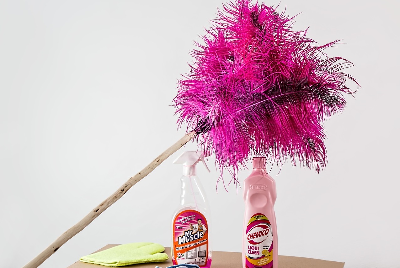 Welches Putzmittel bringt am meisten? Staubwedel