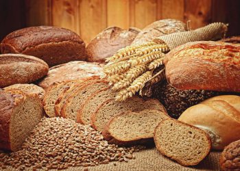Elektrische Brotschneidemaschine | Allesschneider elektrisch