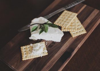 Frischkäsebereiter Vergleich | Beste Käsemaschine & Käse Maker