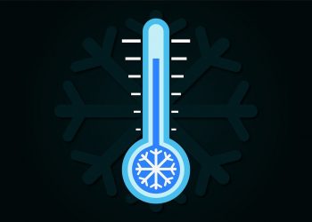 Rohen Brot- und Sauerteig einfrieren (Anleitung)