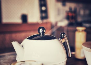 Wasserkocher mit Kalkfilter kaufen | Anti-Kalk Filter