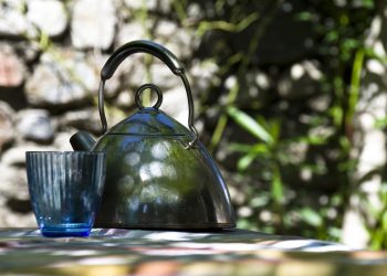 Edelstahl Wasserkocher entkalken & reinigen (Tipps)